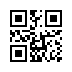 QR code 8250032