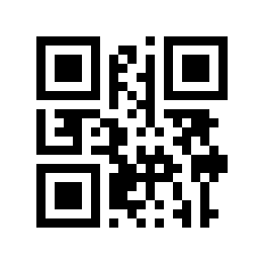 QR code 8333297