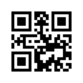 QR code 848528