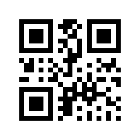 QR code 848541
