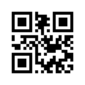 QR code 851029
