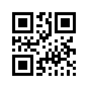 QR code 856994