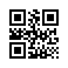 QR code 8607325