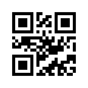 QR code 866158