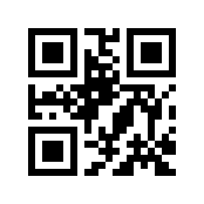 QR code 866999