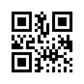 QR code 868065