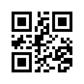 QR code 868069