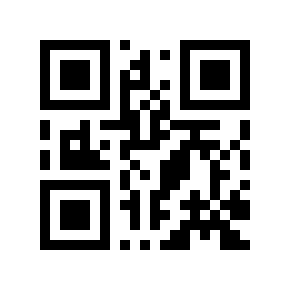 QR code 869573