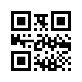 QR code 8750370