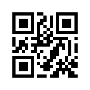 QR code 875240