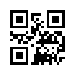 QR code 875242
