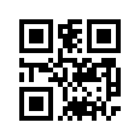 QR code 875276
