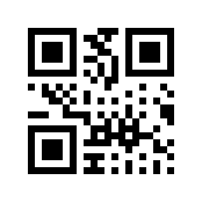 QR code 875281