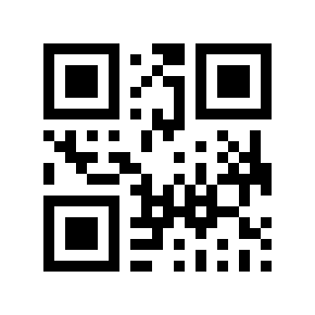 QR code 876007