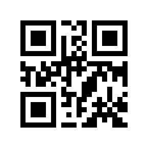 Código QR 876507