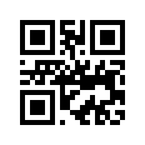 QR code 876513
