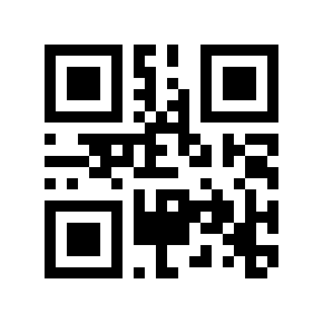 QR code 8928560