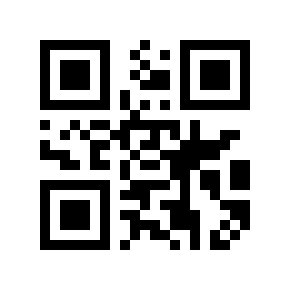 QR code 8928568