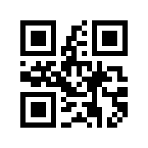 QR code 9046653