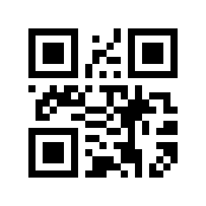 QR code 9046655