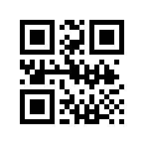 QR code 9051010