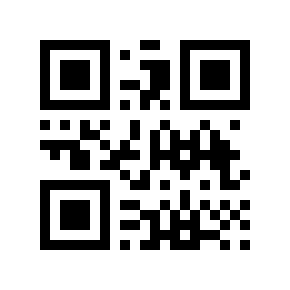 QR code 9051031
