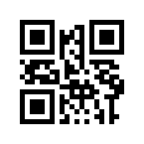 QR code 9131969