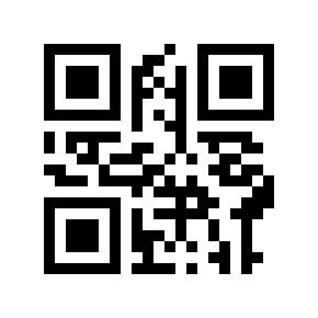 QR code 9131981