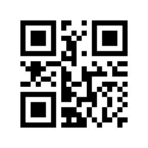 QR code 9161963