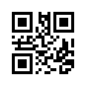 QR code 919119