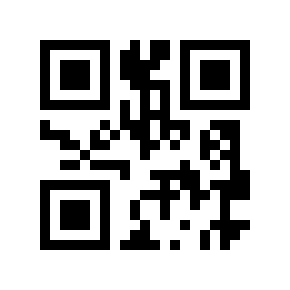 QR code 9192024