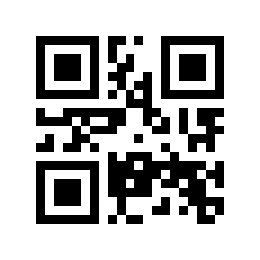 QR code 9192027