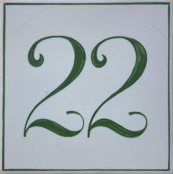 Photo of the number 22